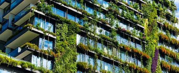 Почему «зелёные» здания важны для будущего строительной индустрии?