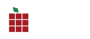 Рубиус Тех