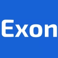 Логотип Exon.Планер